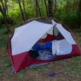 Review photo of Marys Peak by Sonja O., September 20, 2017