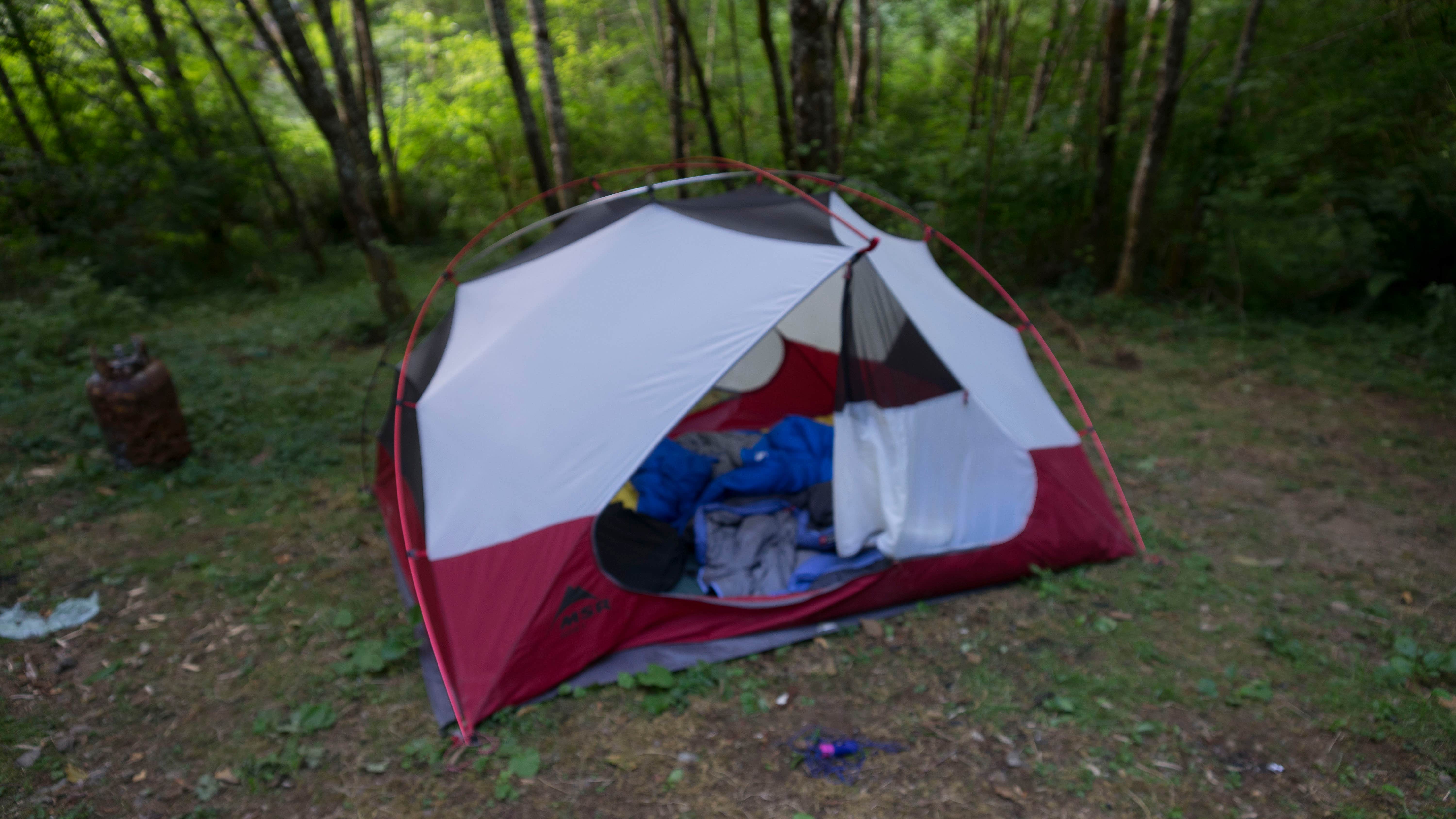 Camper submitted image from Marys Peak - 4