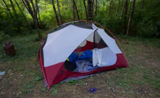 Sonja O.'s photo of tent camping at Marys Peak near Foster Lake