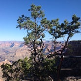 Review photo of Grand Canyon-Williams KOA by David B., June 30, 2016