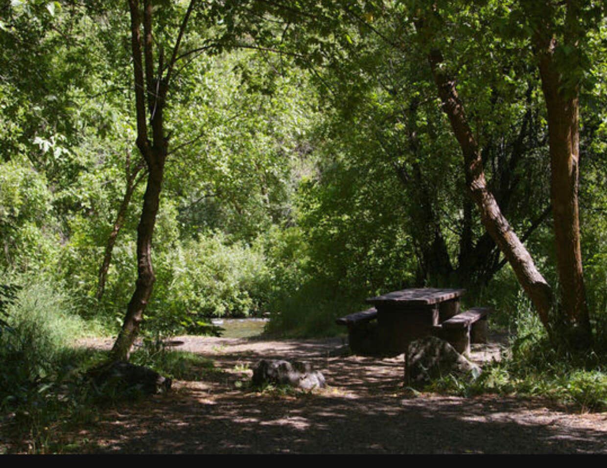 Camper-submitted photo at Guinavah - Malibu Campground near Logan, UT