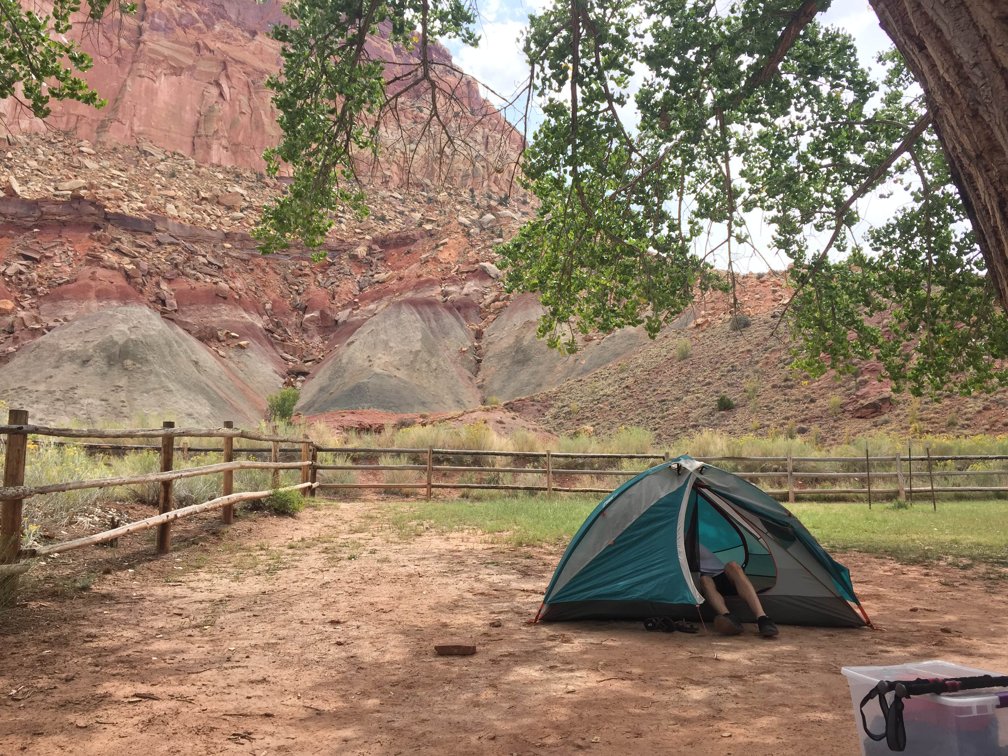 Samantha R.'s photo at Fruita Campground — Capitol Reef National Park near Capitol Reef National Park
