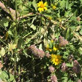 Review photo of Sunset Campground – CLOSED by Paige J., September 20, 2017
