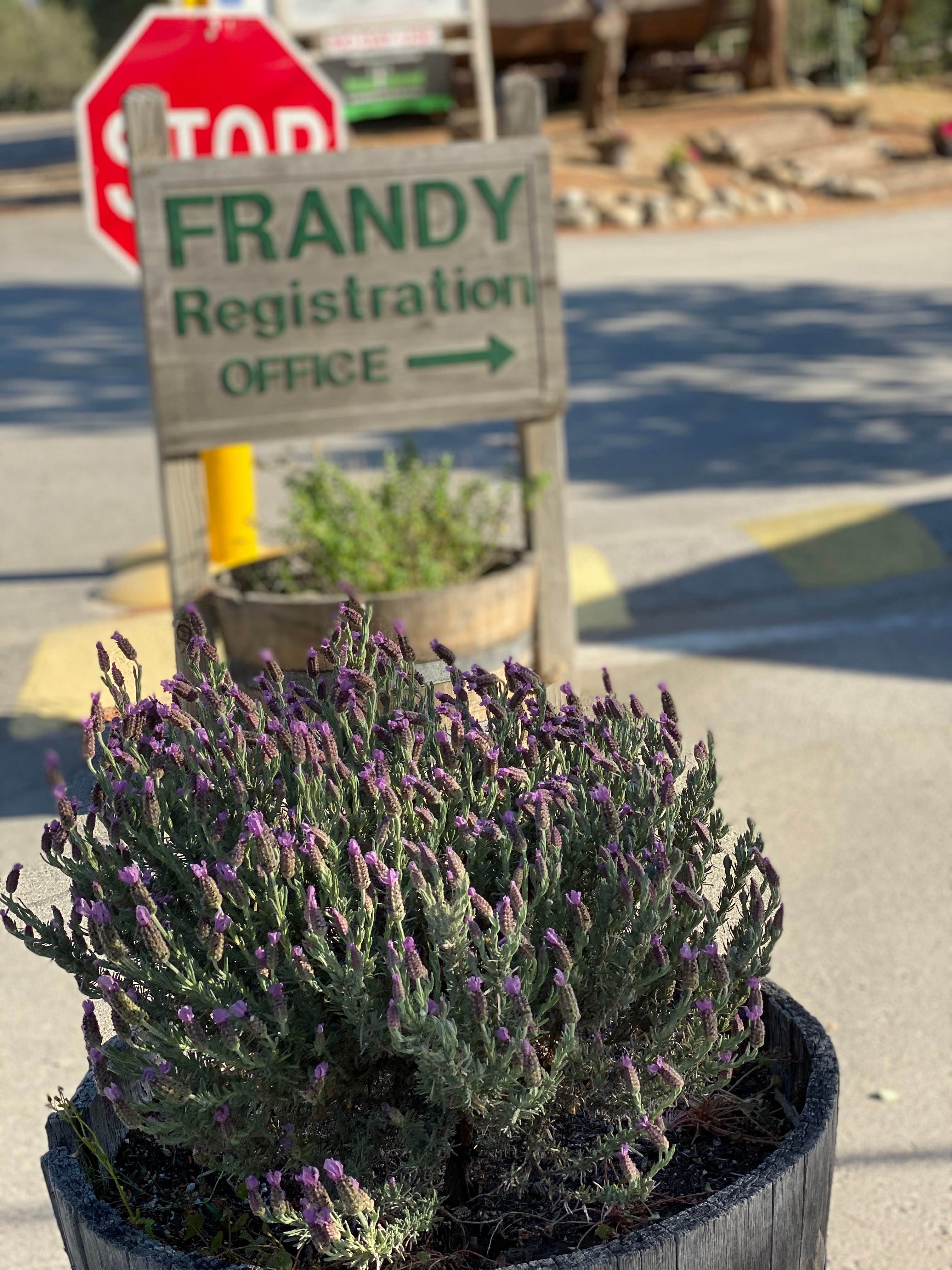 Camper-submitted photo at Frandy Park Campground near Onyx, CA