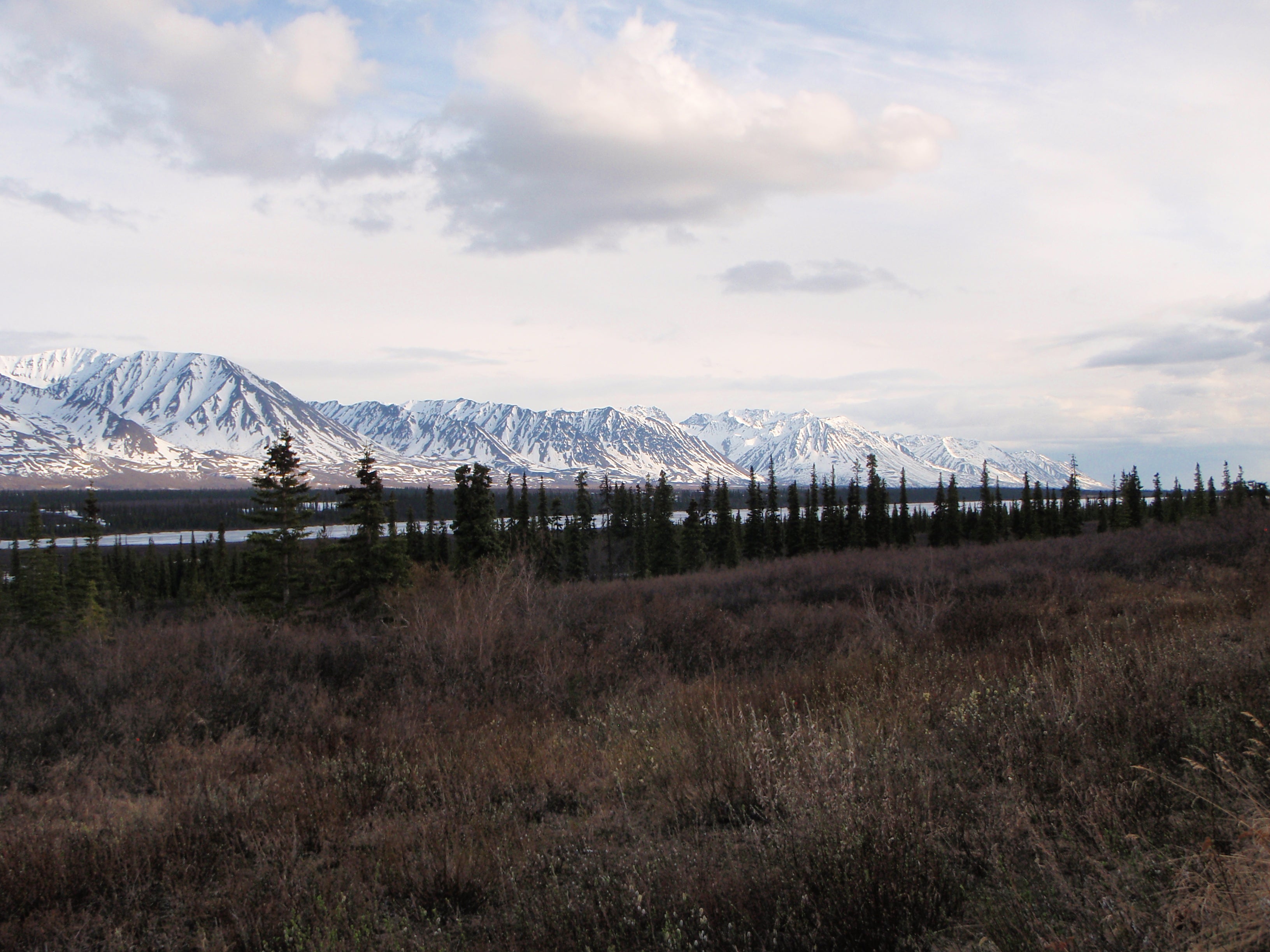 Camper submitted image from Denali Viewpoint - Denali State Park - 2