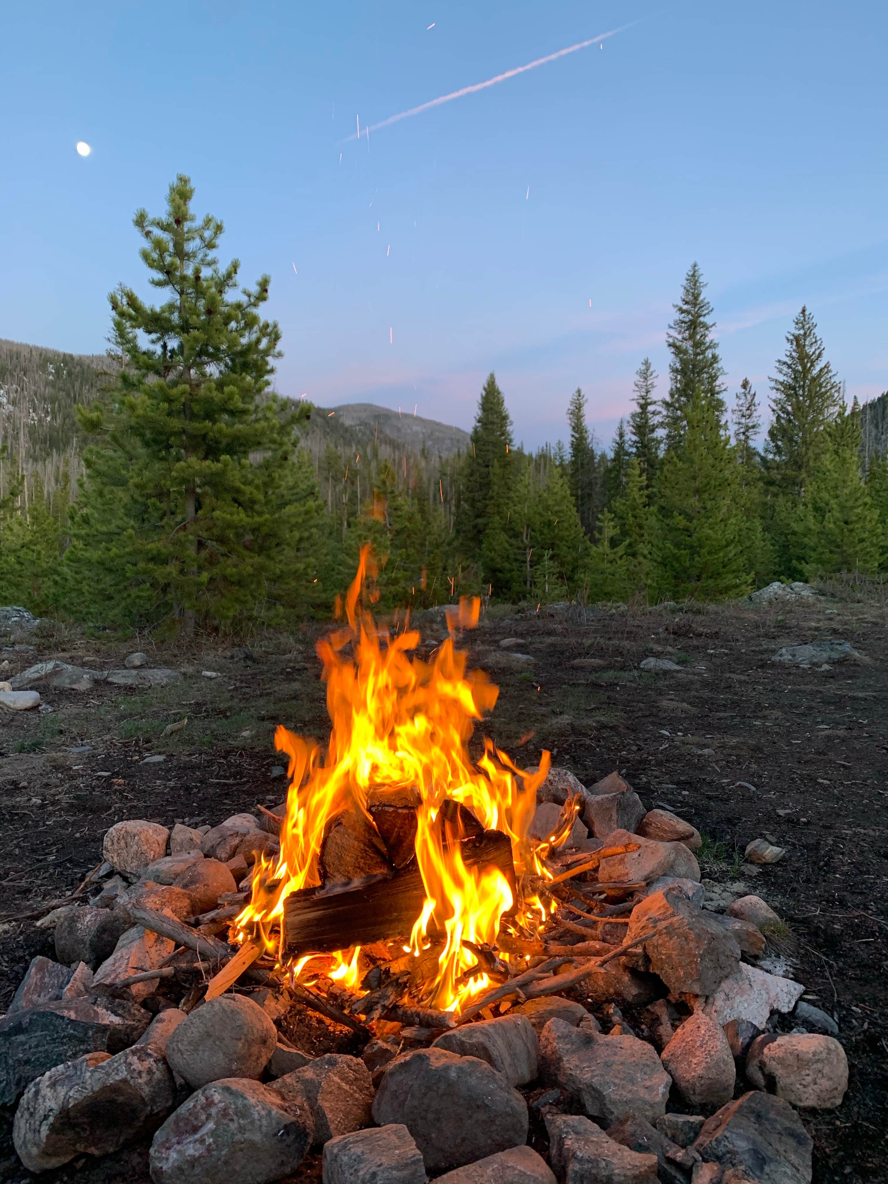 Camper submitted image from Ute Pass Dispersed Camping - 3