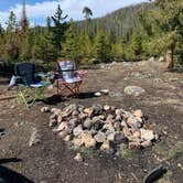 Review photo of Ute Pass Dispersed Camping by Karin C., May 7, 2020