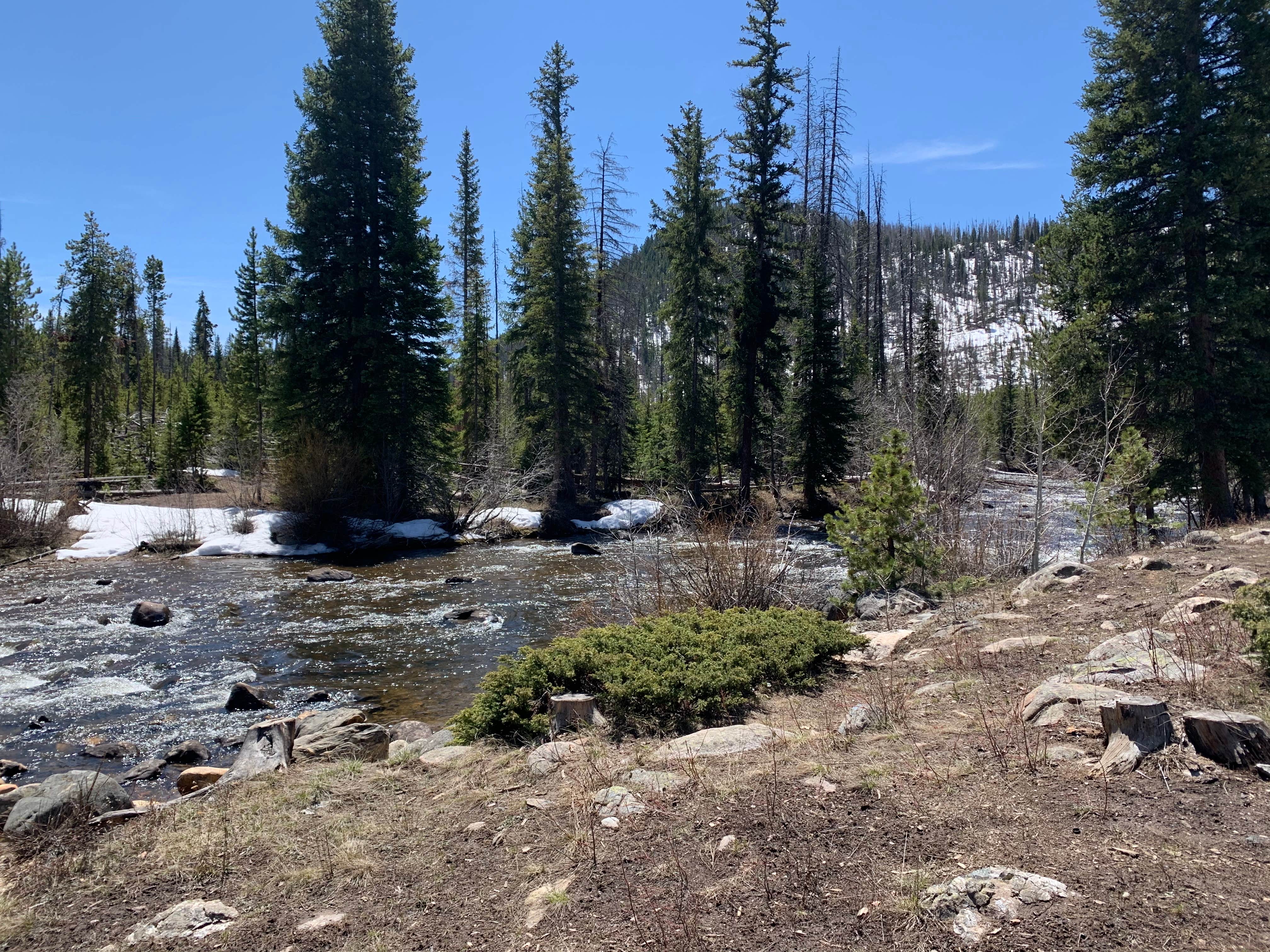 Camper submitted image from Ute Pass Dispersed Camping - 2