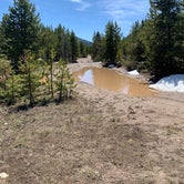 Review photo of Ute Pass Dispersed Camping by Karin C., May 7, 2020