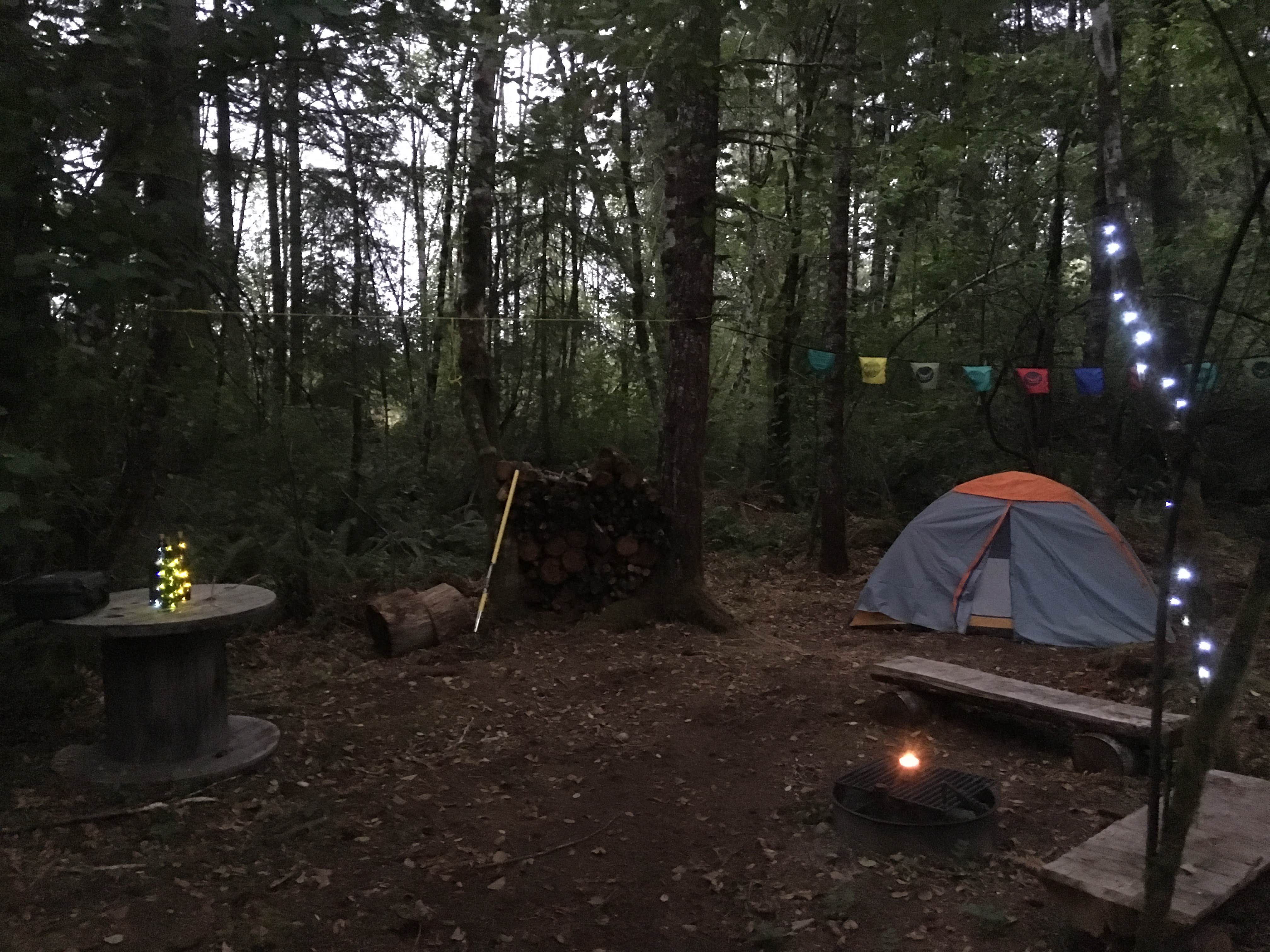 Tj J.'s photo of tent camping at Malaney Creek Farm near Wauna, WA