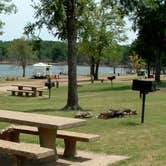 Review photo of Sequoyah Bay Marina and Cabins — Sequoyah Bay State Park by Donny S., May 7, 2020
