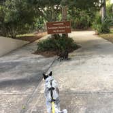 Review photo of Skidaway Island State Park Campground by Shelly S., September 17, 2017
