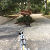 Review photo of Skidaway Island State Park by Shelly S., September 17, 2017