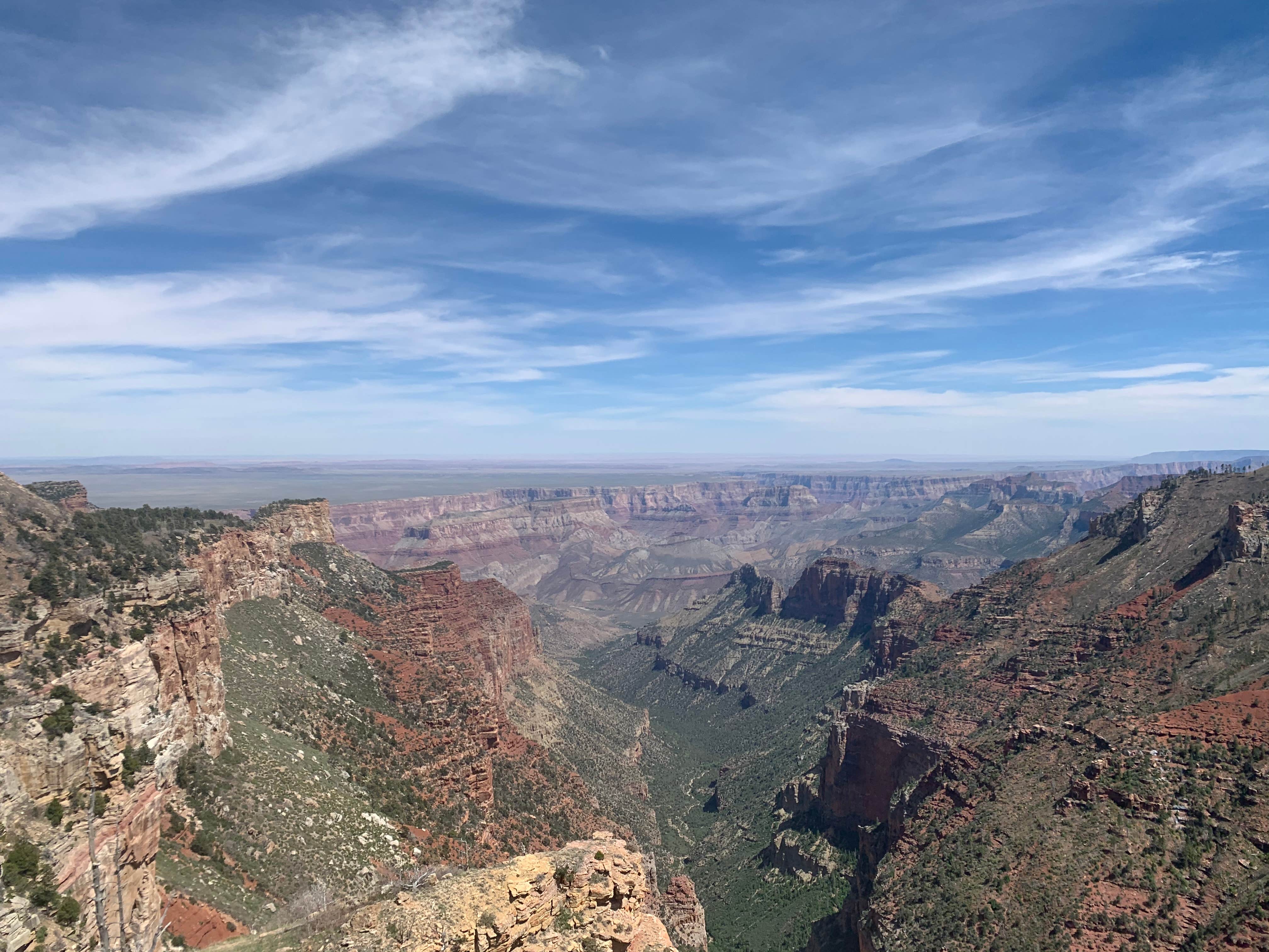 Camper submitted image from Saddle Mountain (Kaibab NF) - 2