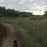 Review photo of Skidaway Island State Park Campground by Shelly S., September 17, 2017
