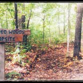 Review photo of Flooded Woods Campsite by Amy G., September 21, 2017