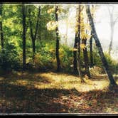Review photo of Flooded Woods Campsite by Amy G., September 21, 2017
