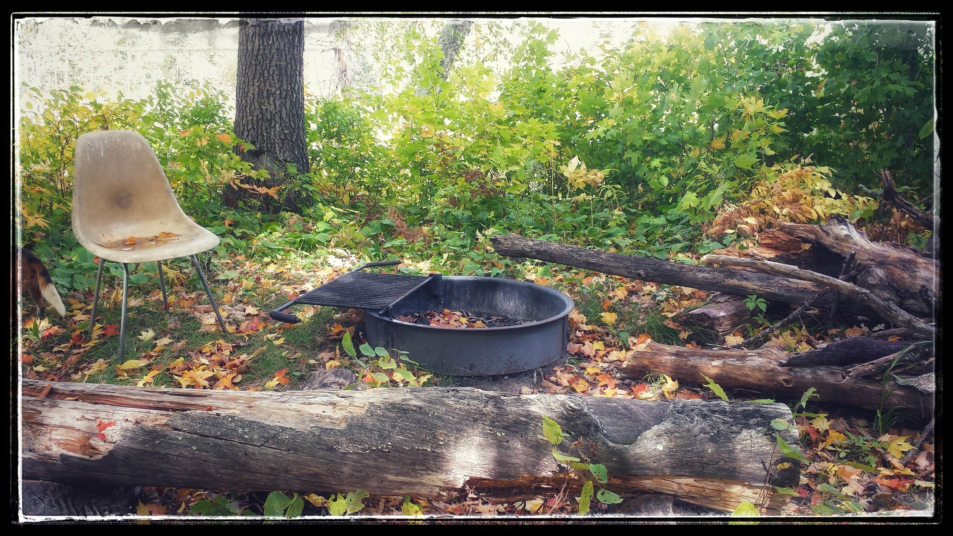 Camper submitted image from Flooded Woods Campsite - 3