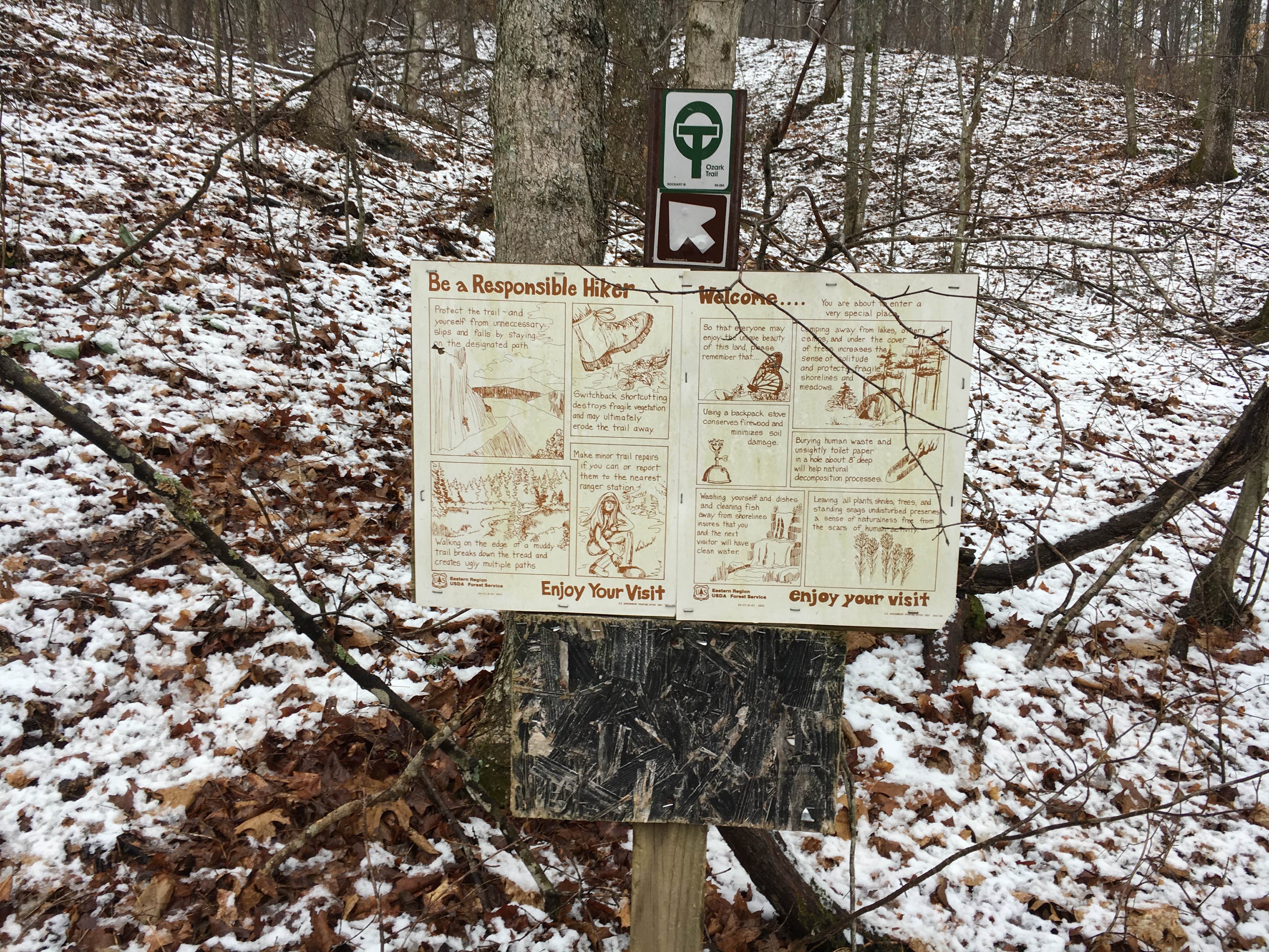 Camper submitted image from Ottery Creek Primitive Campground - 2