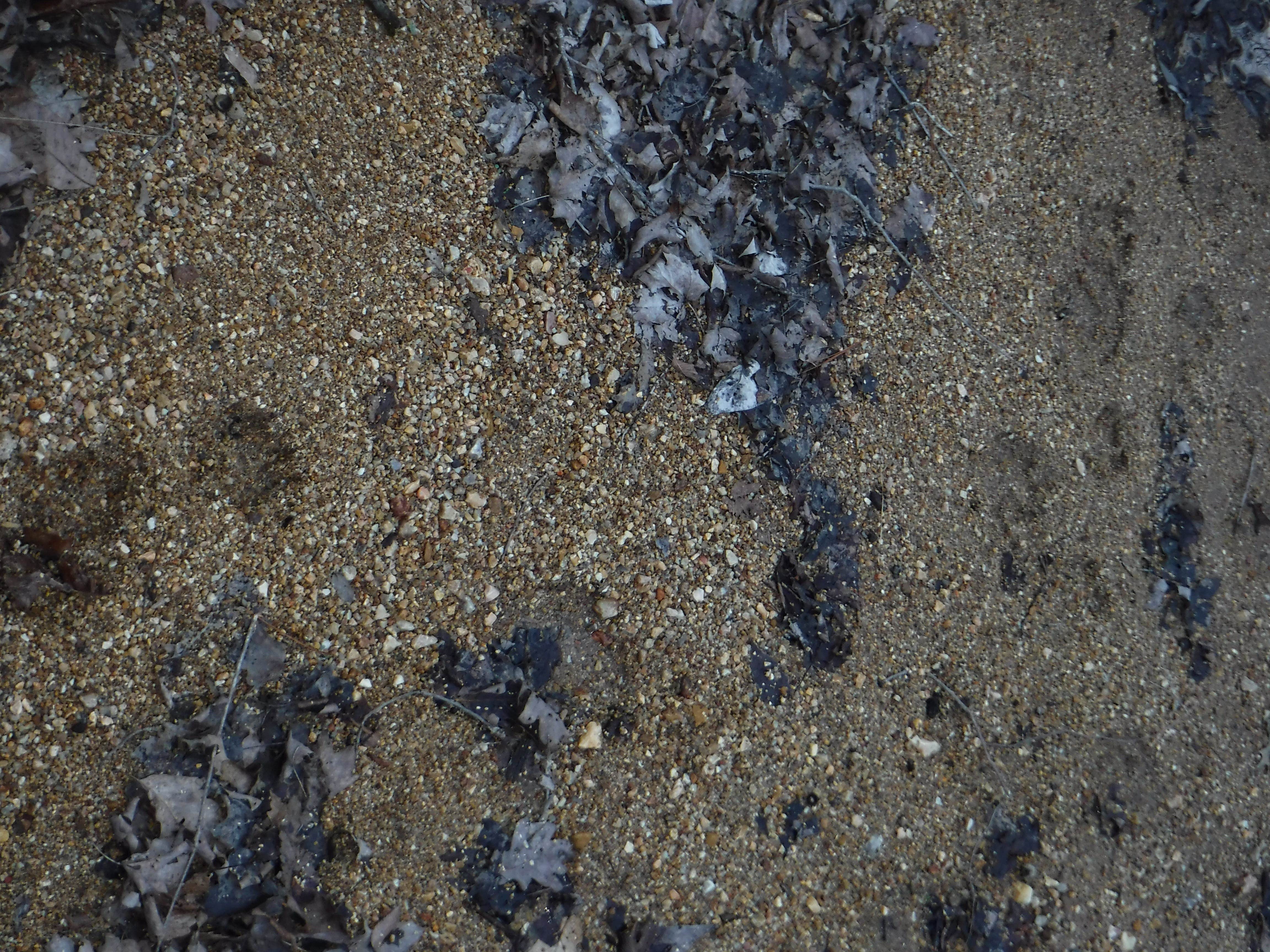 Camper-submitted photo at Ottery Creek Primitive Campground near De Soto, MO