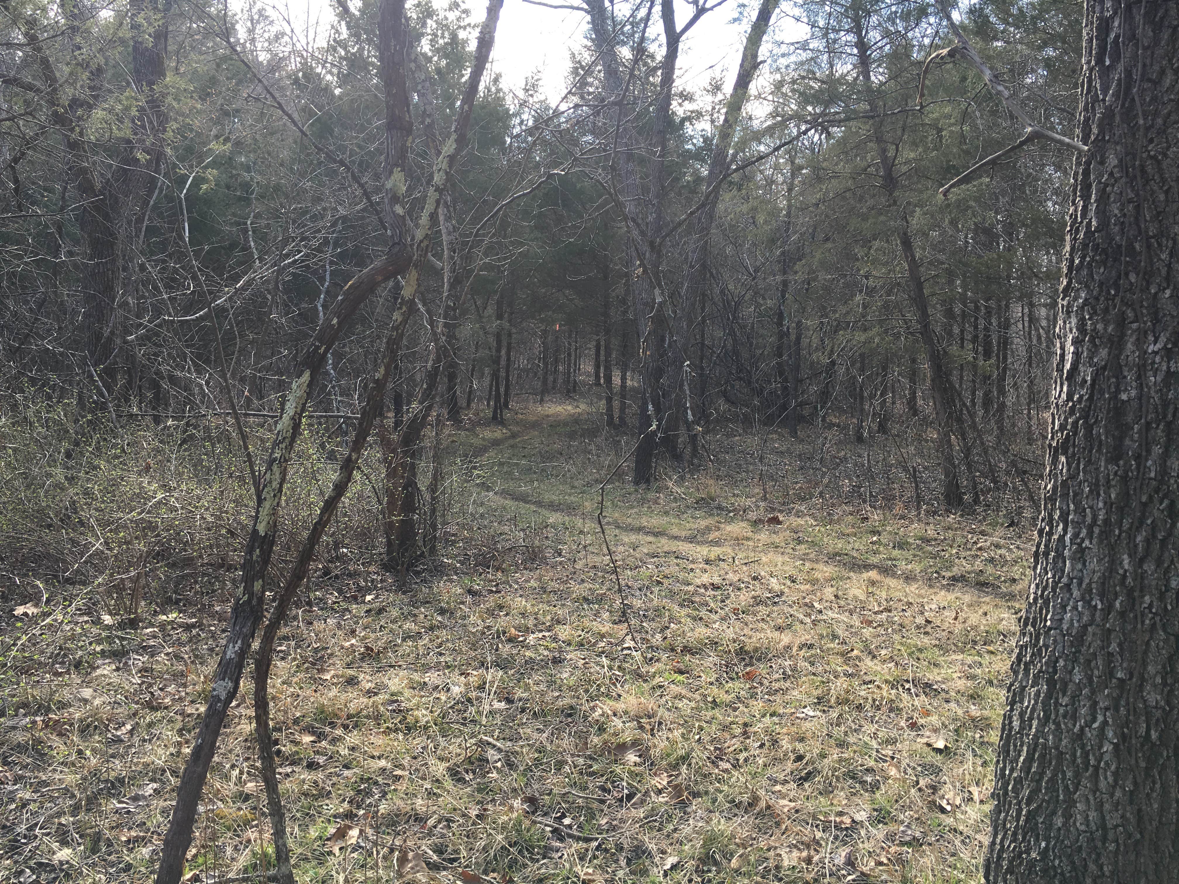 Camper-submitted photo at Big River Primitive Campground near Bunker, MO