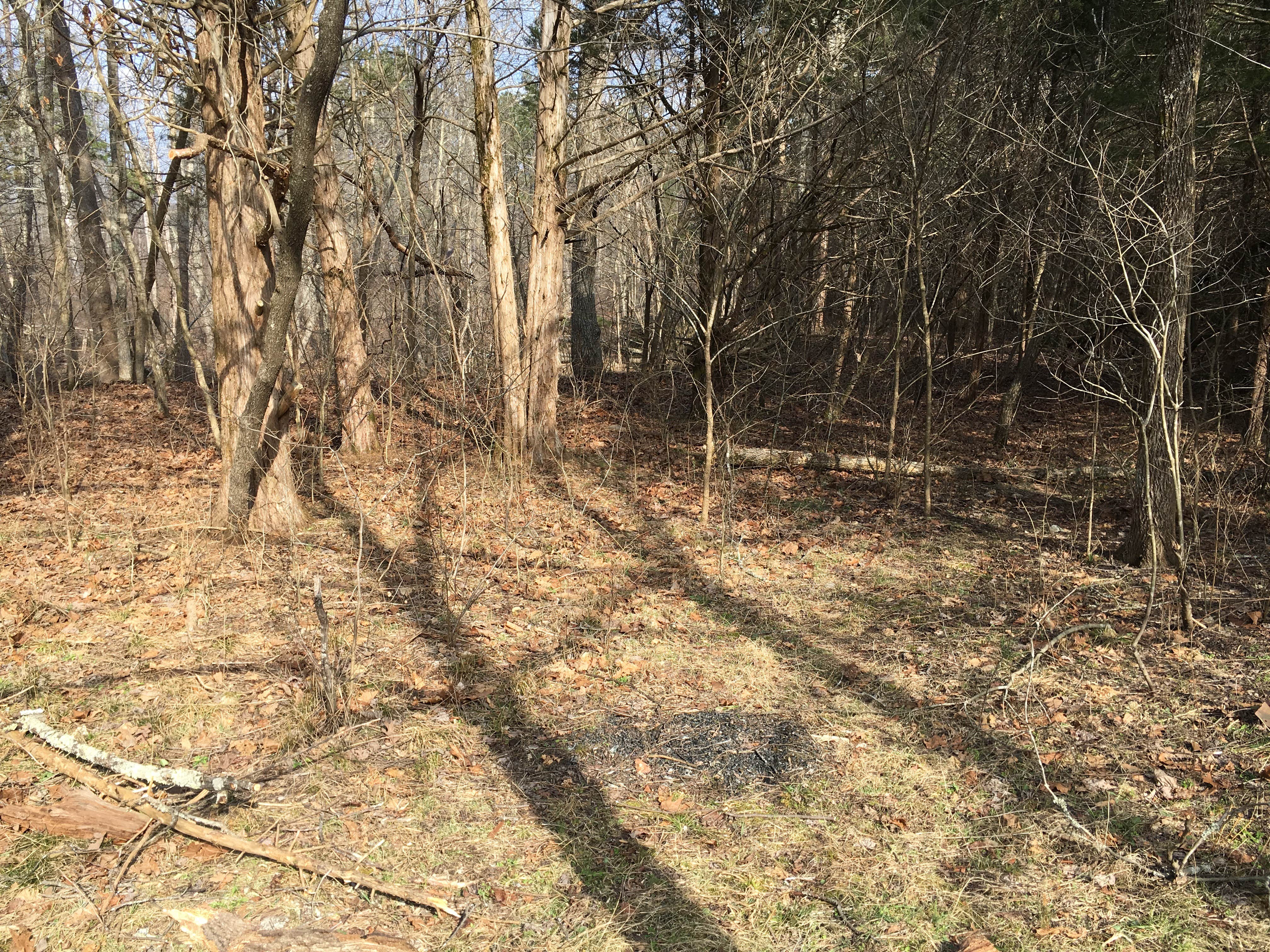 Camper-submitted photo at Big River Primitive Campground near Bunker, MO