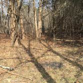 Review photo of Big River Primitive Campground by Matt S., September 21, 2017