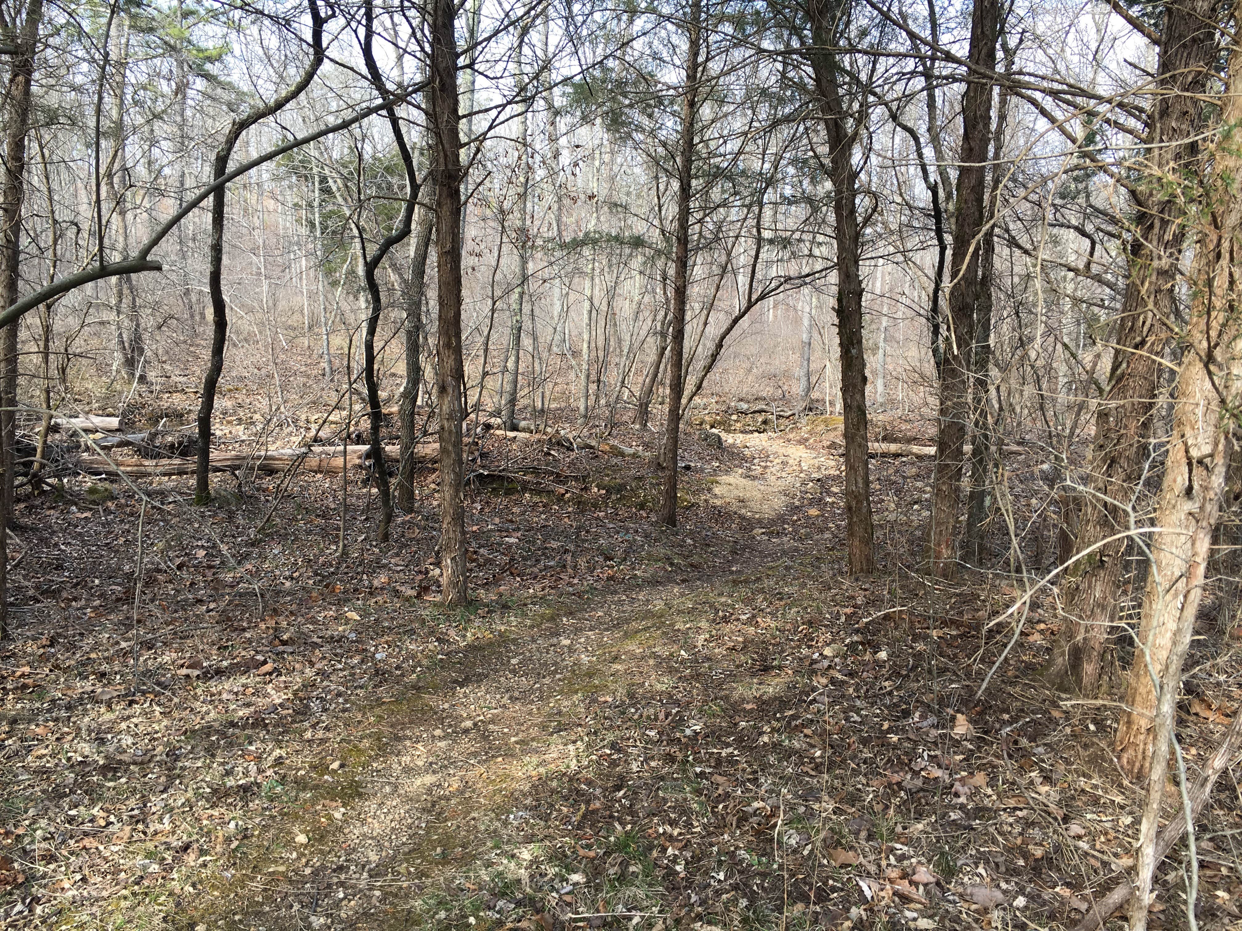 Camper-submitted photo at Big River Primitive Campground near Belleview, MO
