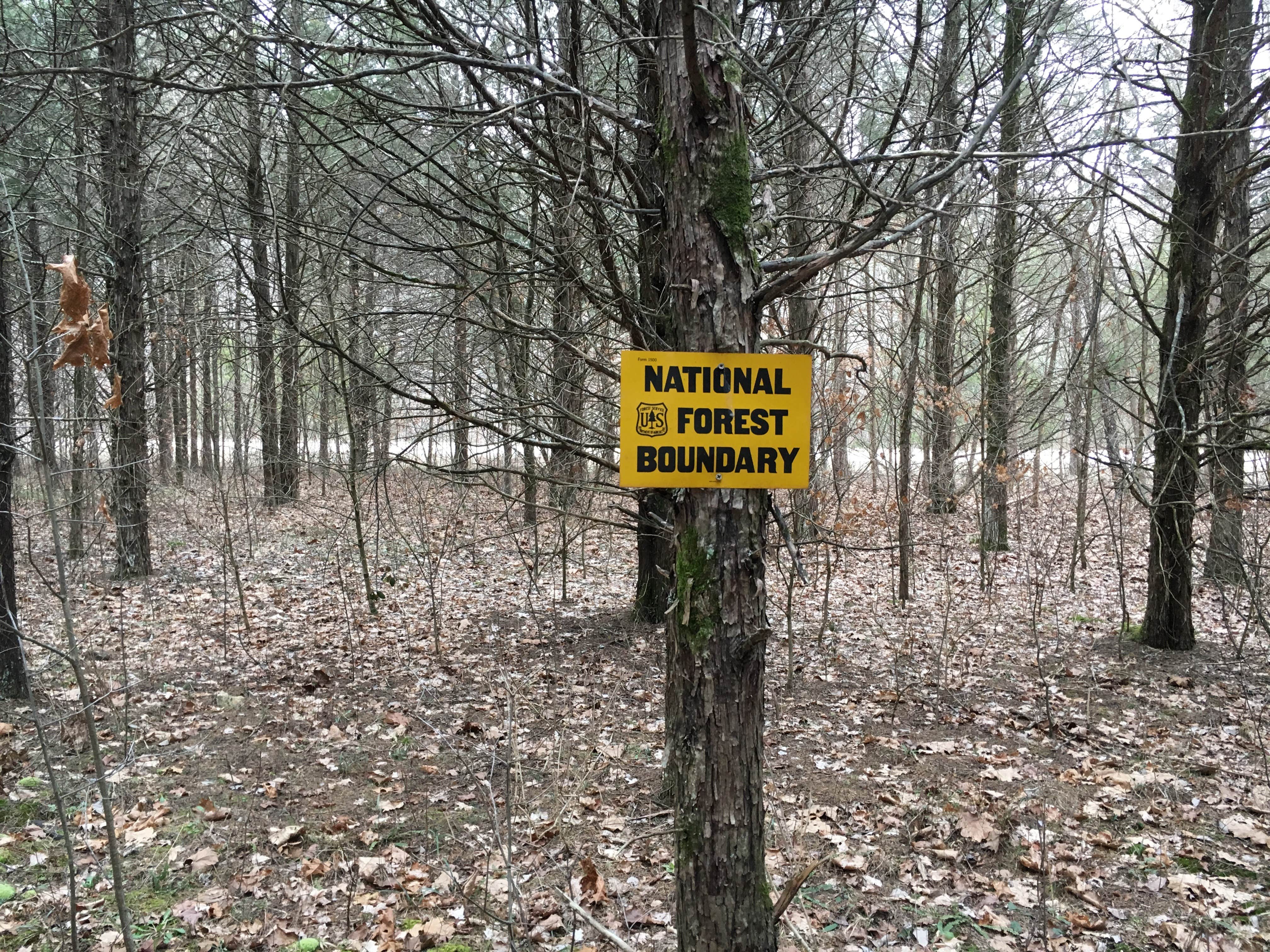 Camper-submitted photo at Panther Branch Primitive Campground near Hillsboro, MO