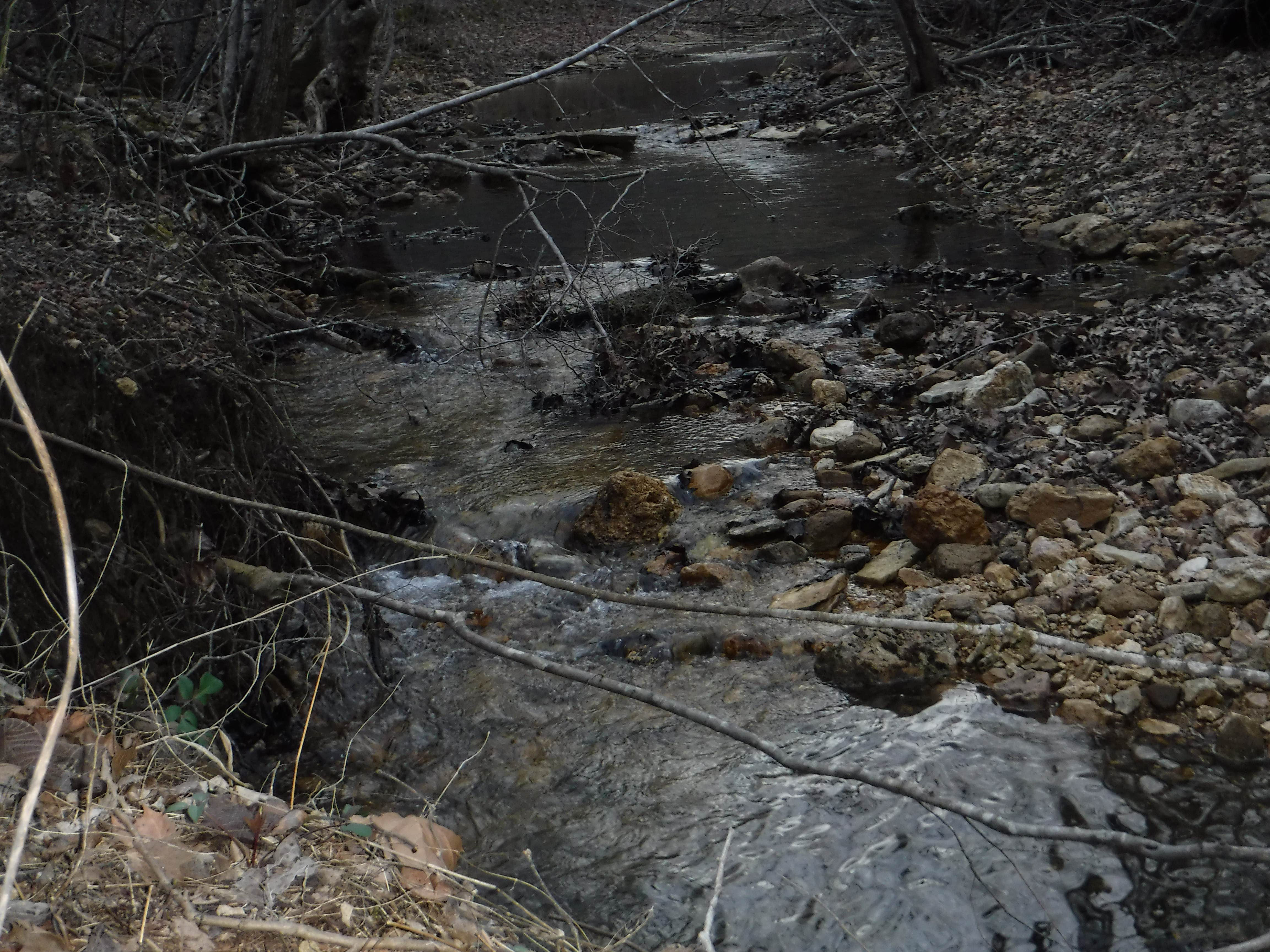 Camper submitted image from Telleck Branch Primitive Campground - 3