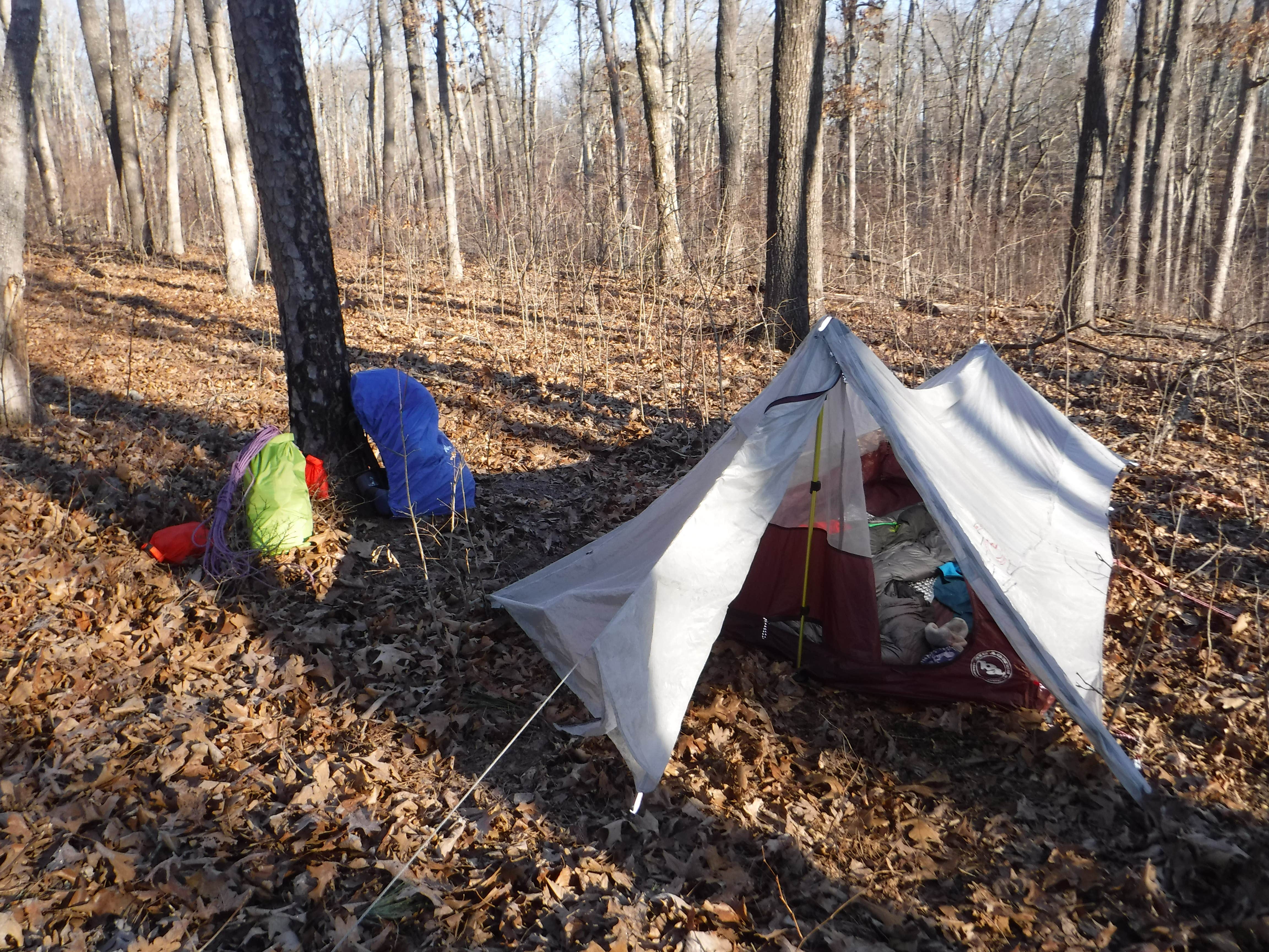 Camper submitted image from Telleck Branch Primitive Campground - 4