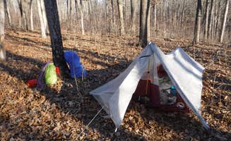 Matt S.'s photo of tent camping at Telleck Branch Primitive Campground near Bismarck, MO