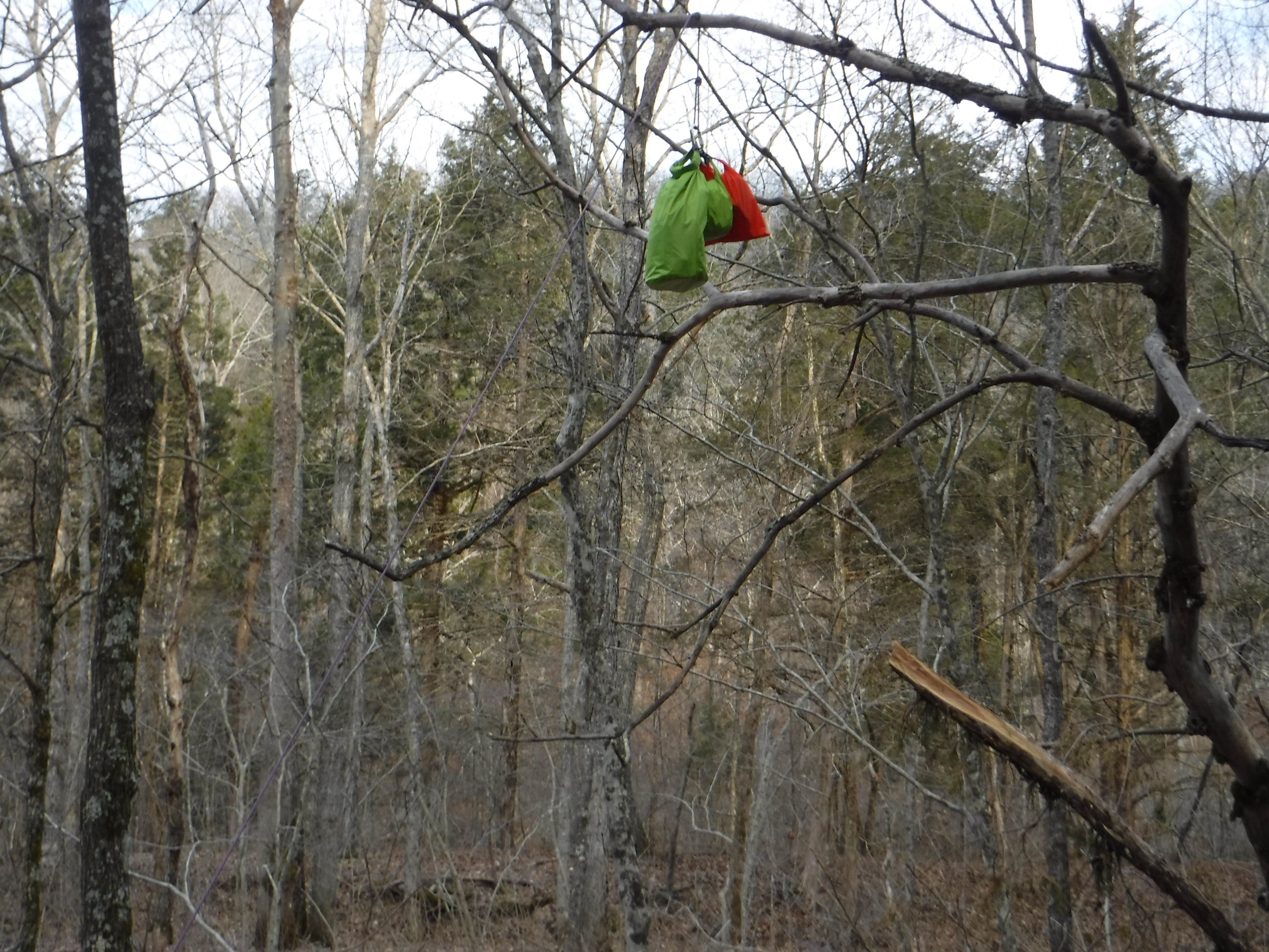 Camper submitted image from Telleck Branch Primitive Campground - 5
