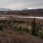 Review photo of Wonder Lake Campground — Denali National Park by Amber A., June 30, 2016
