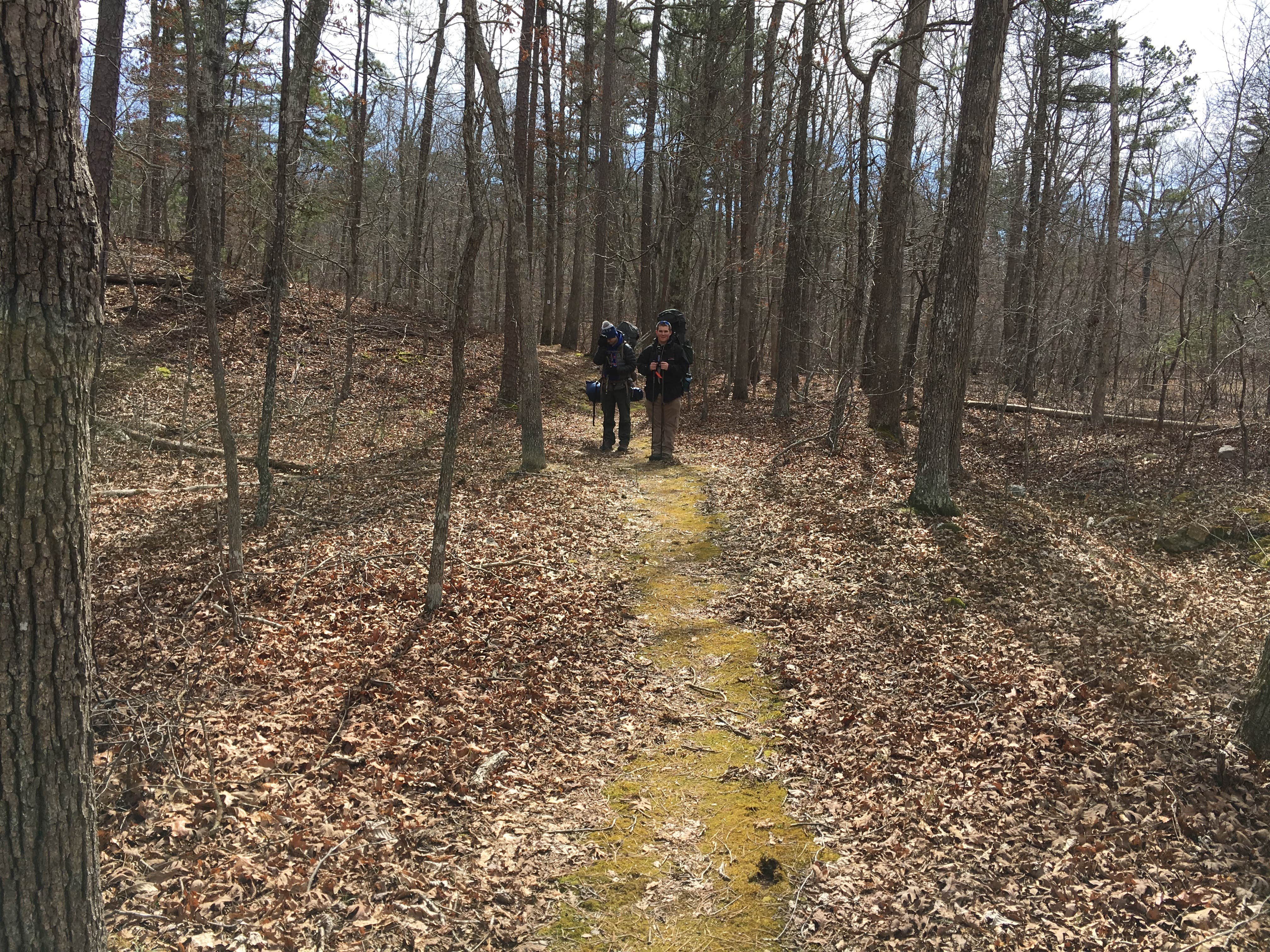 Camper submitted image from Telleck Branch Primitive Campground - 2