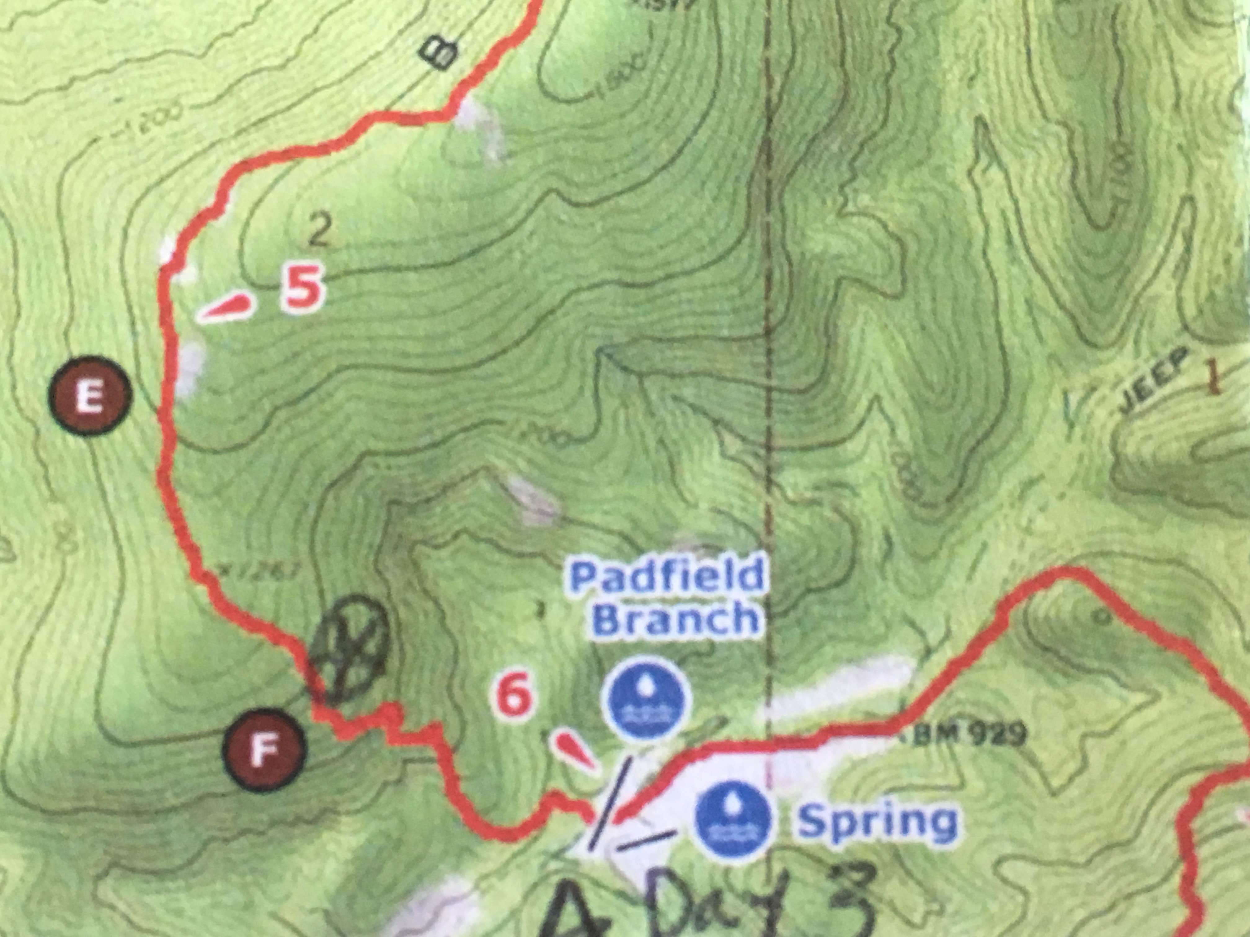 Camper submitted image from Padfield Branch Primitive Campground - 3