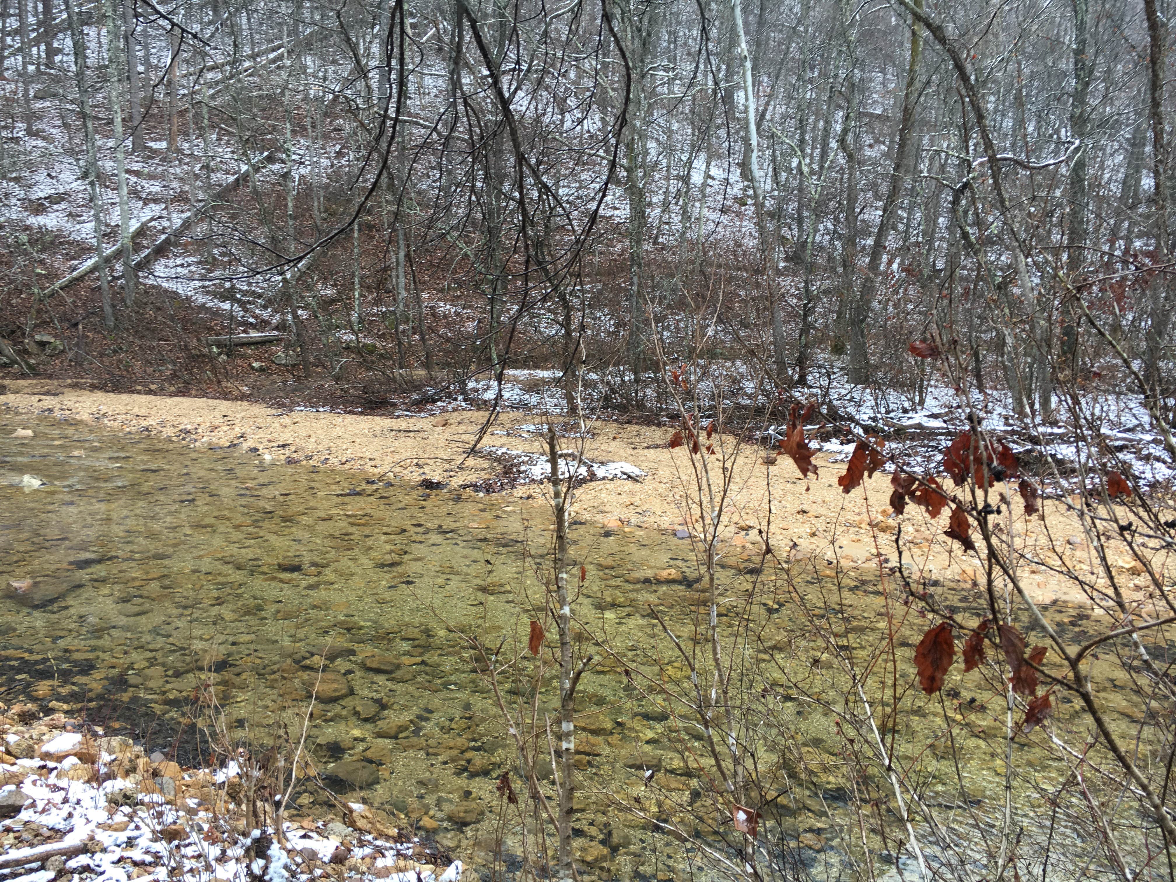 Camper submitted image from Padfield Branch Primitive Campground - 4