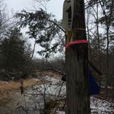 Review photo of Padfield Branch Primitive Campground by Matt S., September 22, 2017