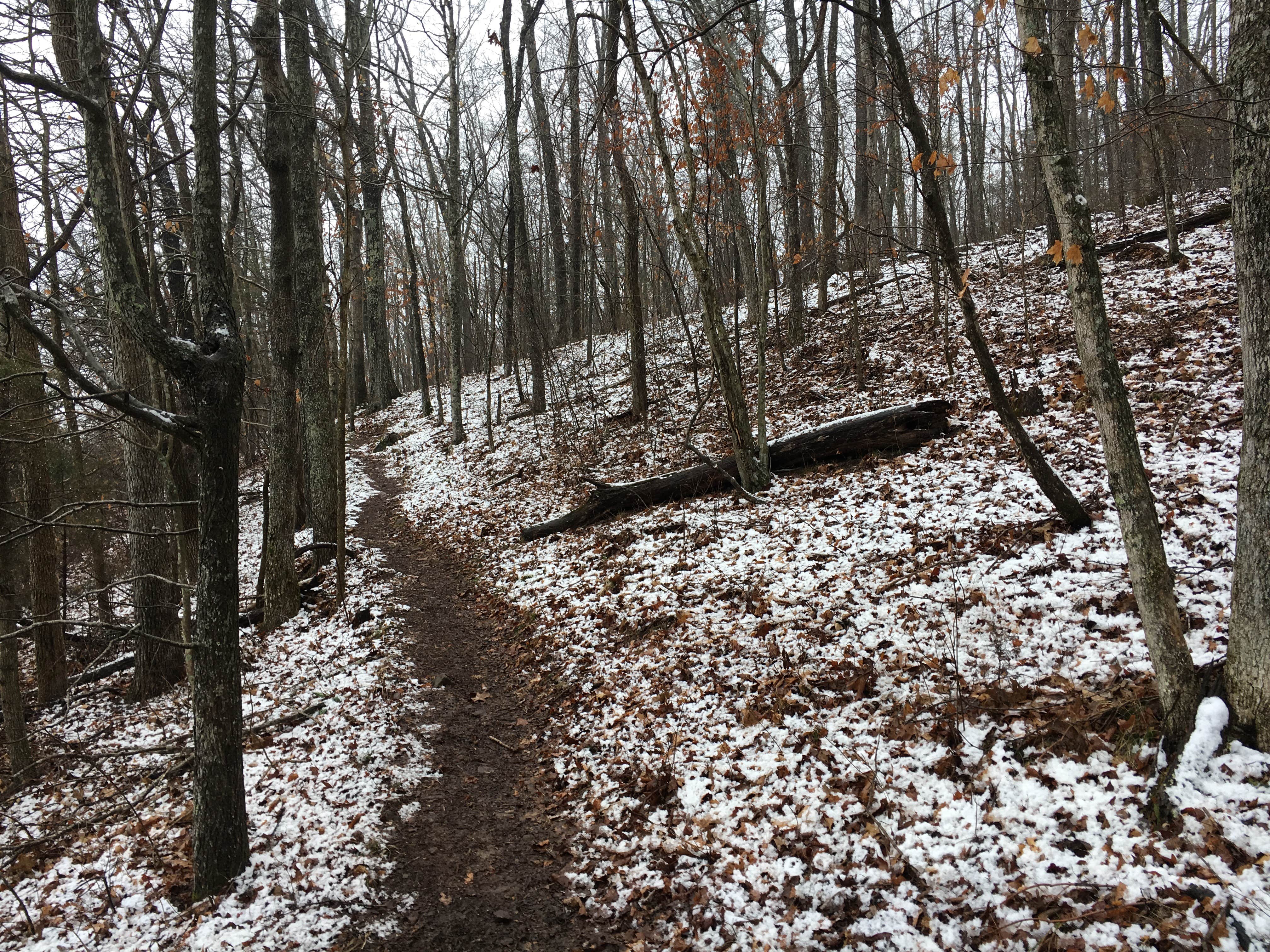 Camper submitted image from Padfield Branch Primitive Campground - 2