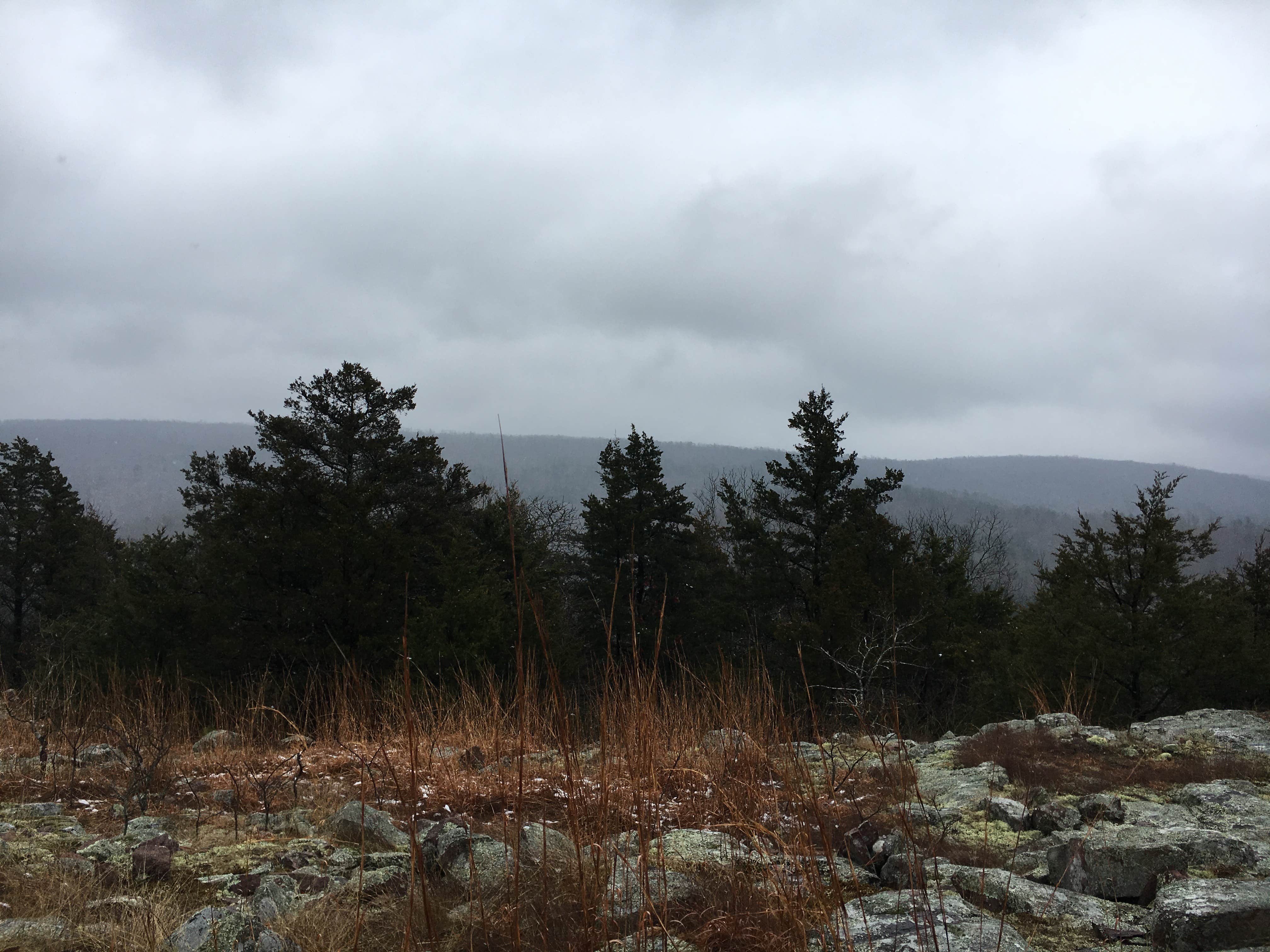 Camper-submitted photo at Padfield Branch Primitive Campground near Ironton, MO