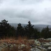 Review photo of Padfield Branch Primitive Campground by Matt S., September 22, 2017