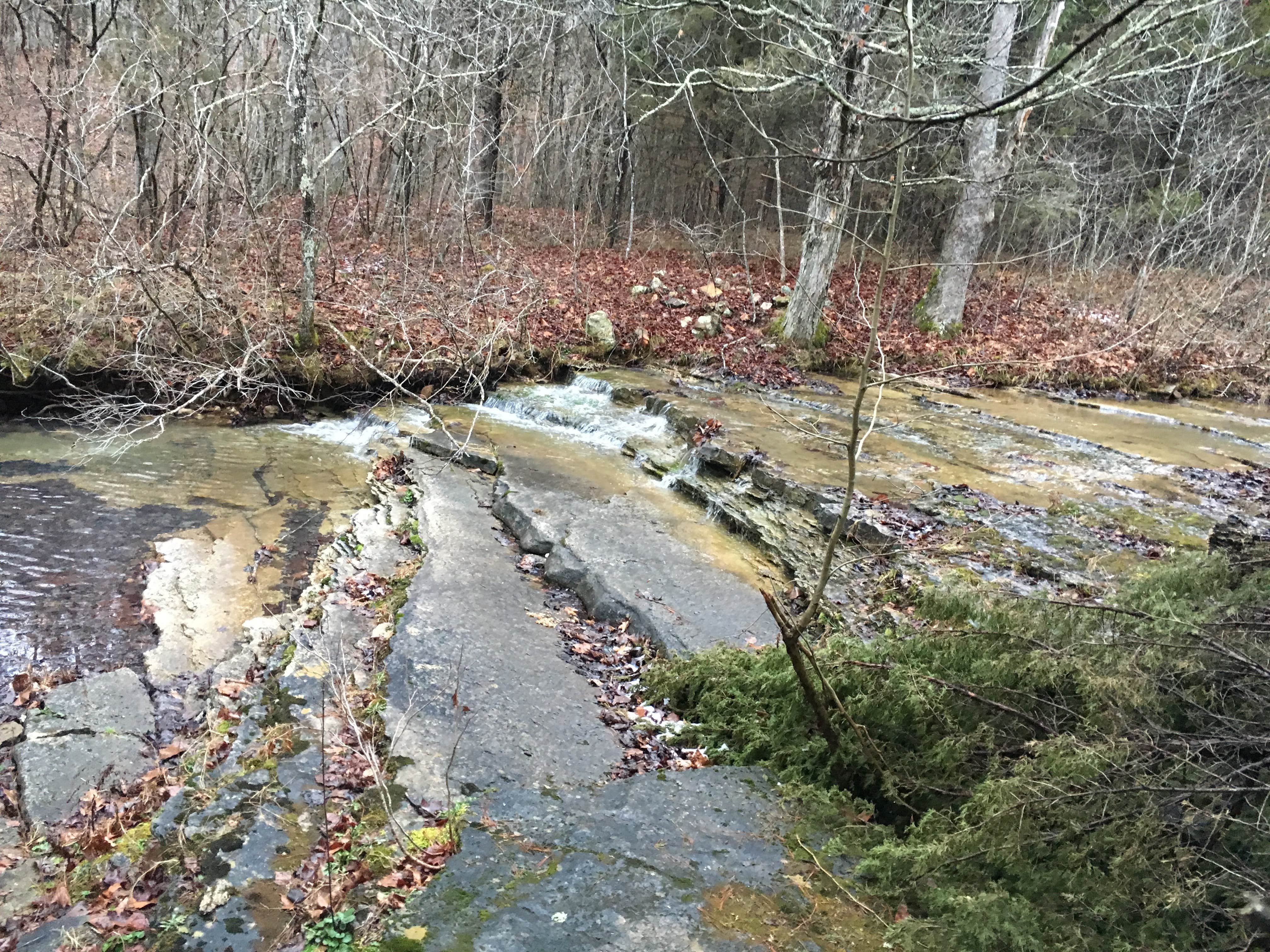 Camper-submitted photo at Padfield Branch Primitive Campground near Ironton, MO