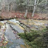 Review photo of Padfield Branch Primitive Campground by Matt S., September 22, 2017