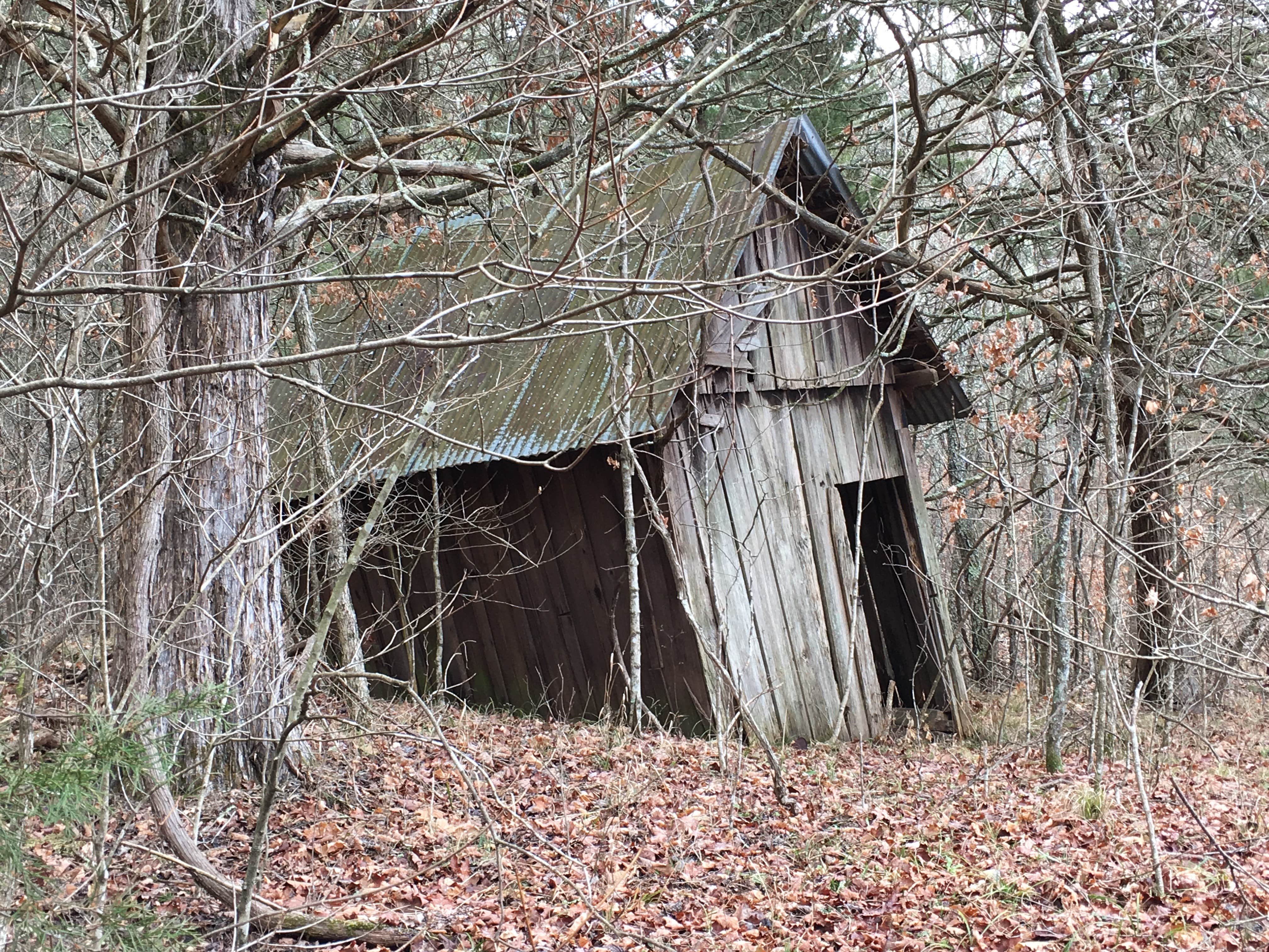 Camper-submitted photo at Padfield Branch Primitive Campground near Ironton, MO