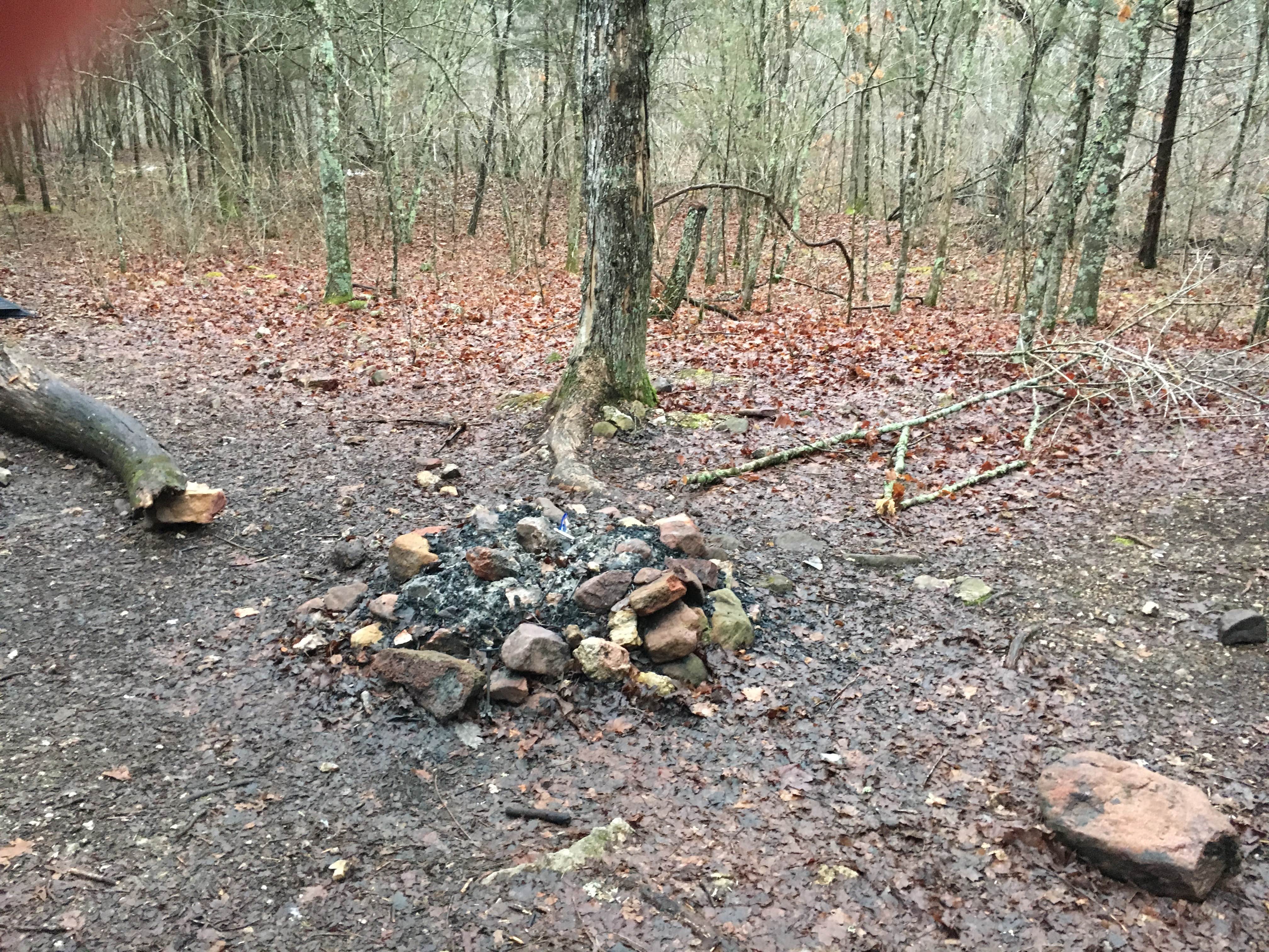 Camping near Taum Sauk Mountain State Park Campground: Padfield Branch Primitive Campground, Black, Missouri