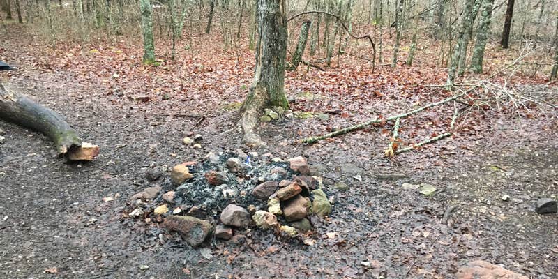 Camper submitted image from Padfield Branch Primitive Campground