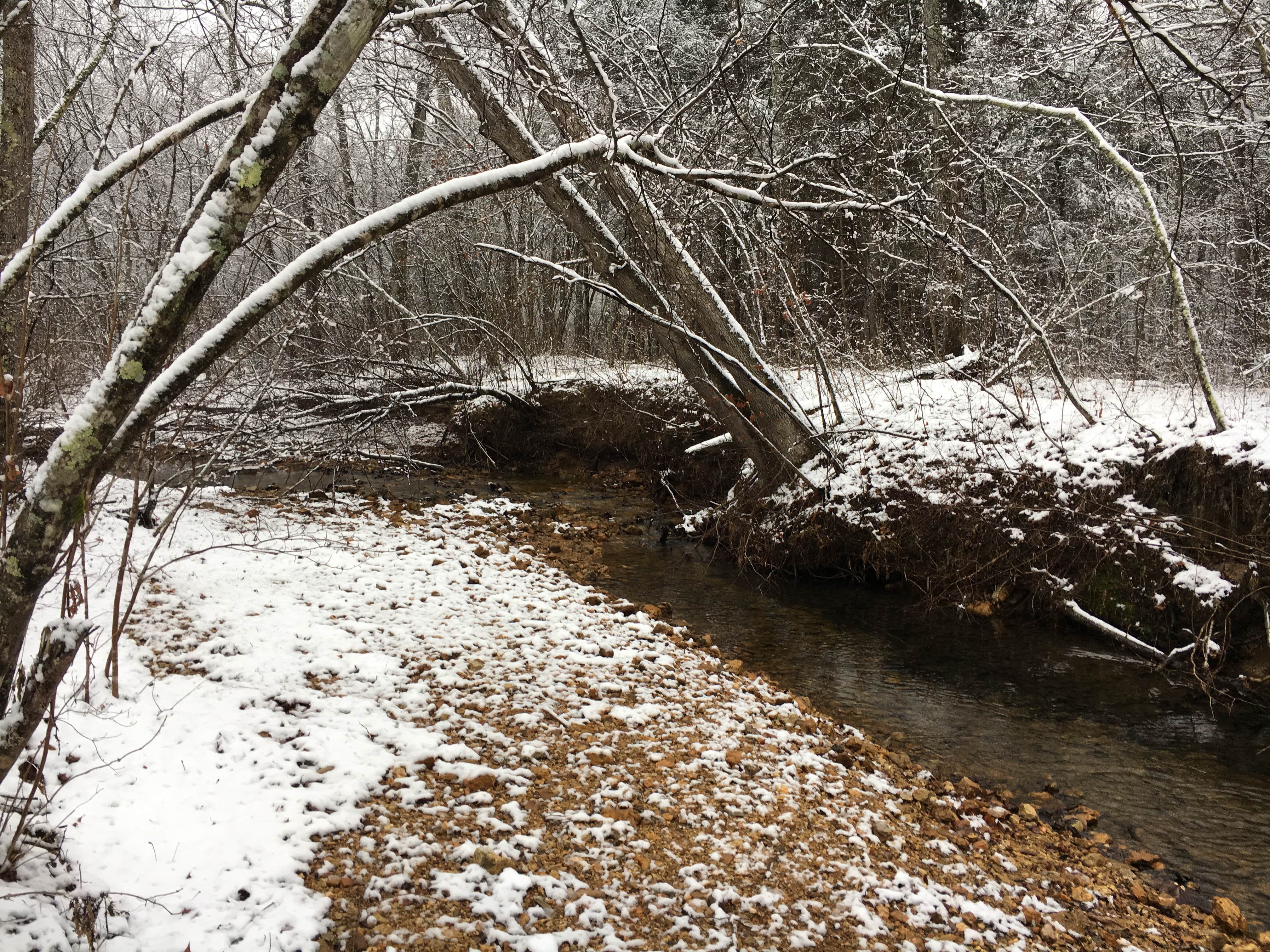 Camper submitted image from Peter Cave Hollow Creek - 3