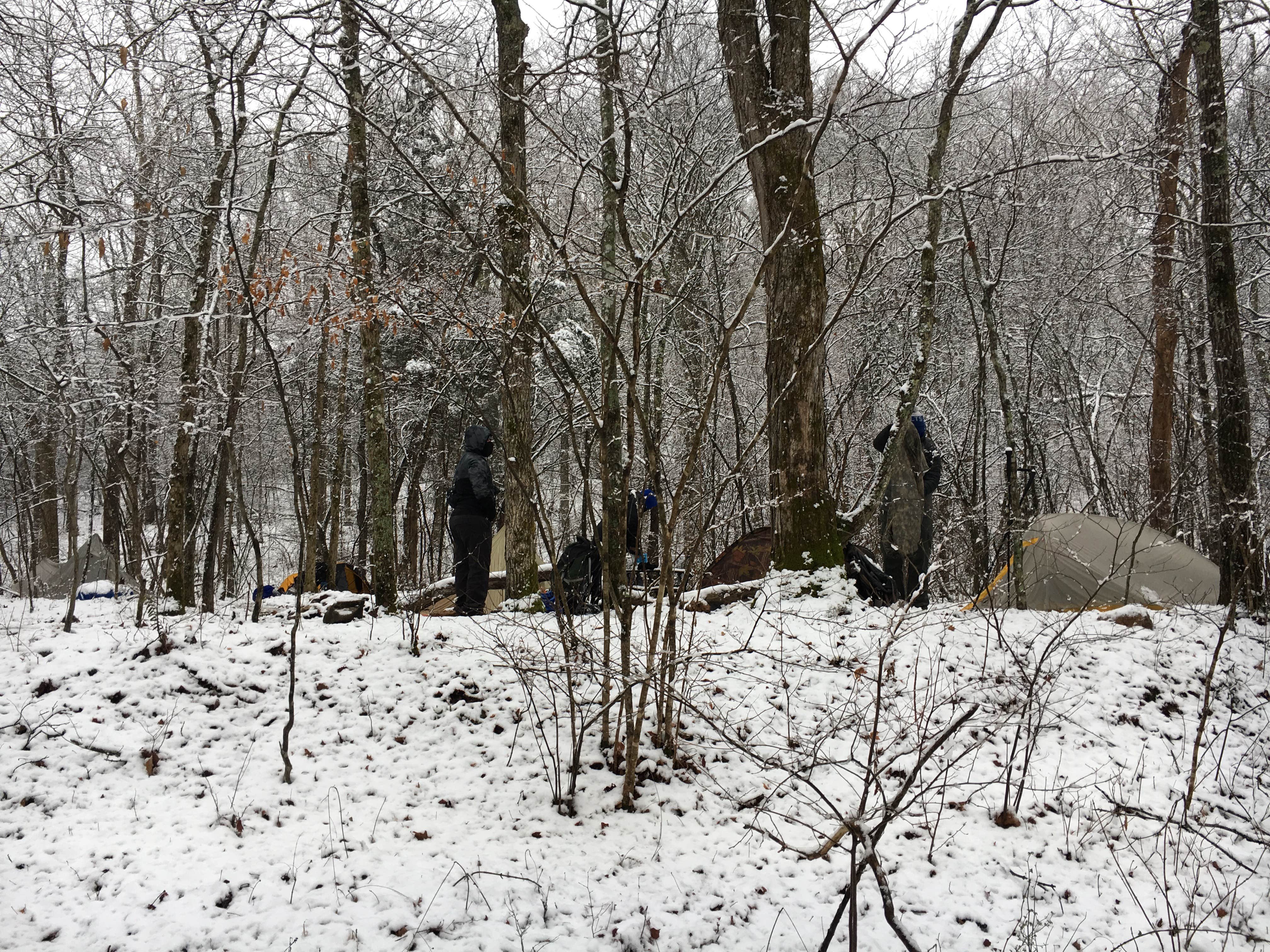 Camper submitted image from Peter Cave Hollow Creek - 3