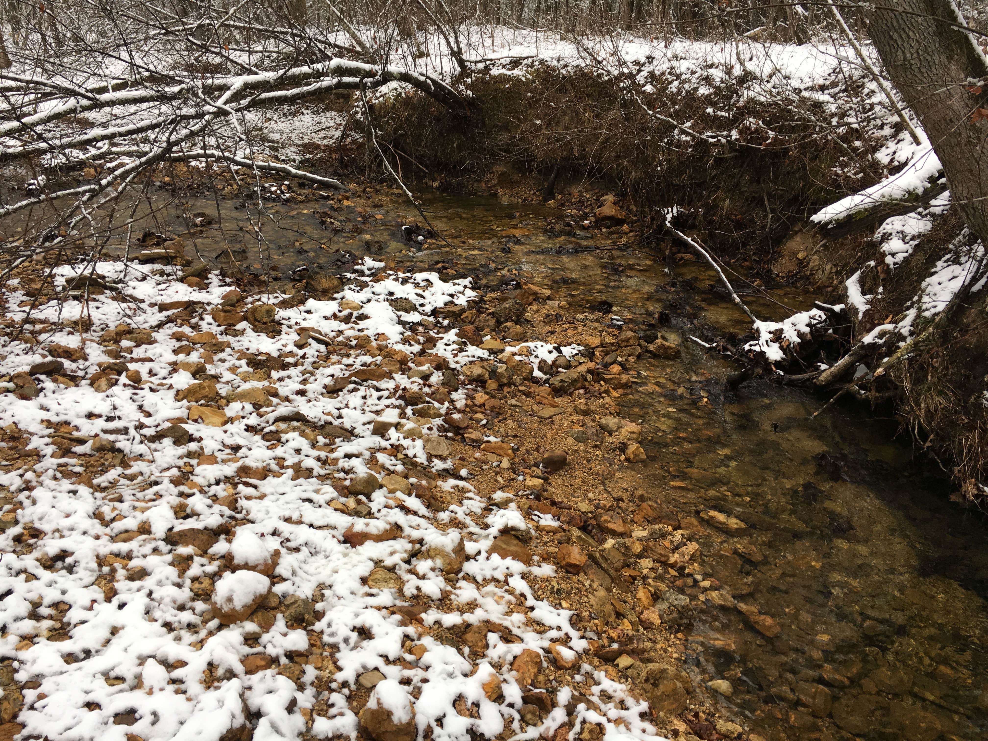 Camper submitted image from Peter Cave Hollow Creek - 1