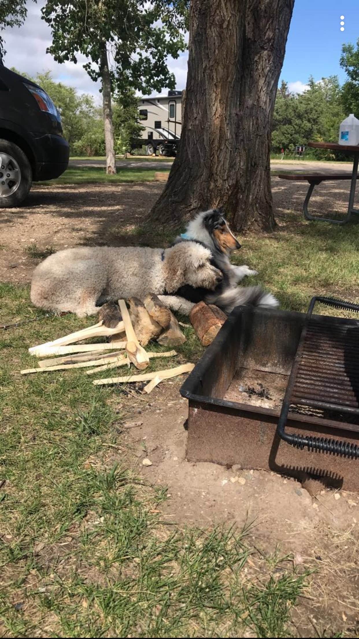 Matt B.'s photo of camping with pets at Lewis & Clark State Park Campground near Keene, ND